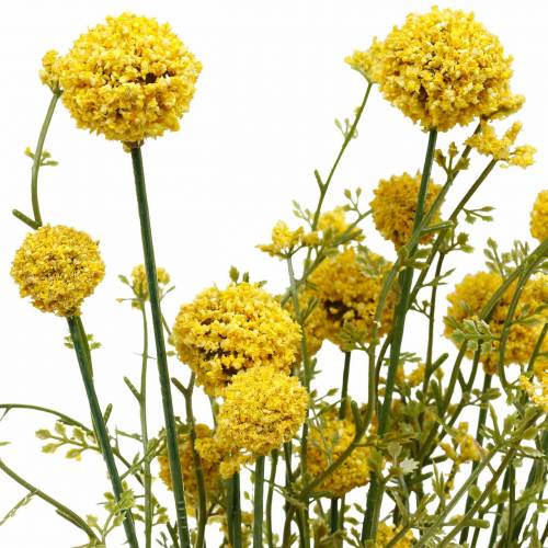 Floristik24 Dirbtinė Craspedia in Bunch Yellow Drumsticks 3vnt