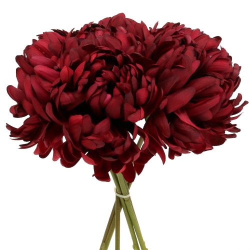 Floristik24 Chrizantemų puokštė Bordo 28cm 6vnt