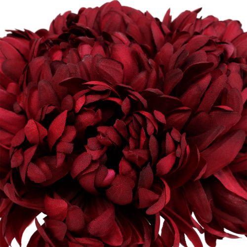 Floristik24 Chrizantemų puokštė Bordo 28cm 6vnt