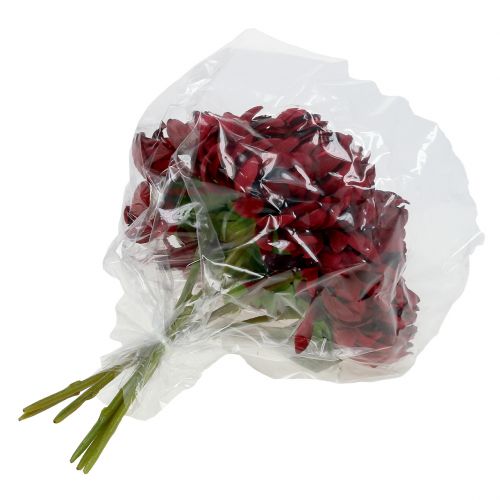 Floristik24 Chrizantemų puokštė Bordo 28cm 6vnt