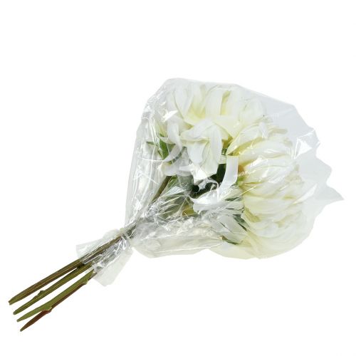 Floristik24 Dekoratyvinė chrizantemų puokštė balta 28cm 6 vnt