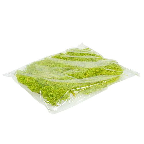 Floristik24 Garbanotos samanos šviesiai žalios 350g