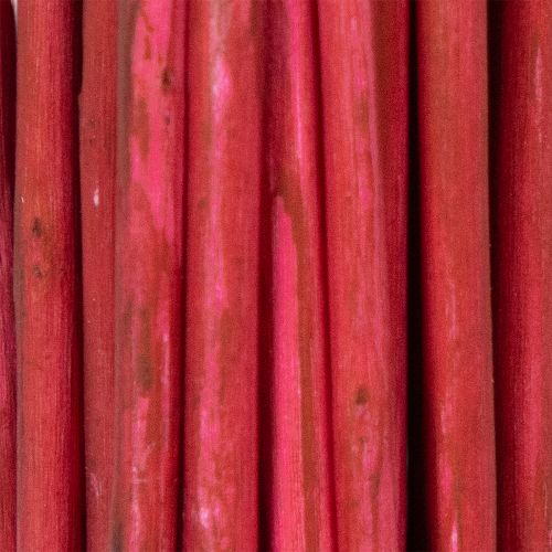 daiktų Džiovintos garbanotos gluosnio šakelės kūrybinei floristikai ir namų aksesuarams 80 cm 70 g