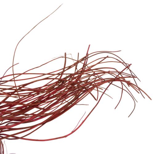 daiktų Džiovintos garbanotos gluosnio šakelės kūrybinei floristikai ir namų aksesuarams 80 cm 70 g