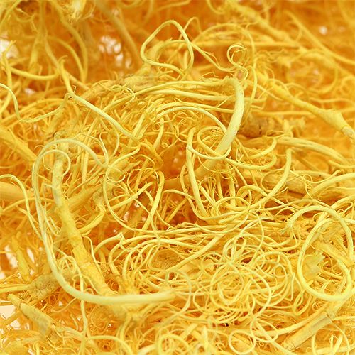 Floristik24 Garbanotos samanos šviesiai geltonos 350g