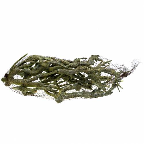 daiktų Deco šakelė kario krūmas žalias nuplautas 500g
