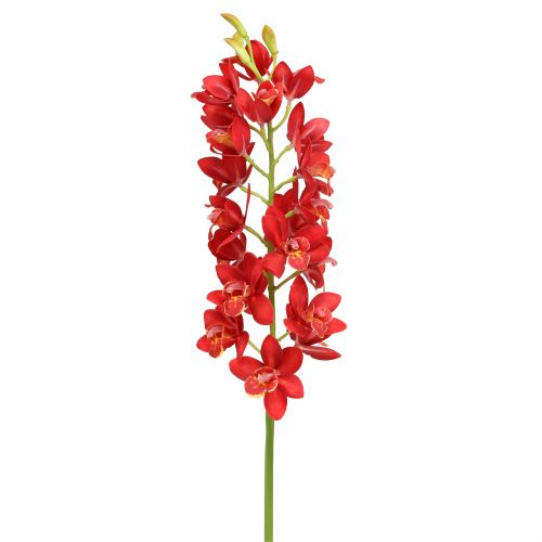 daiktų Orchid Cymbidium Red 78cm