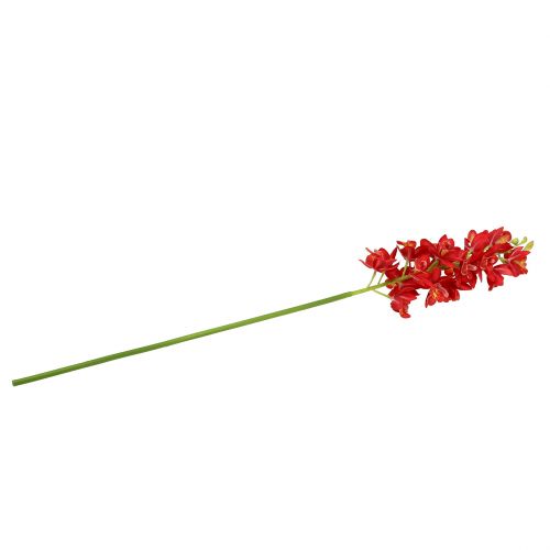 daiktų Orchid Cymbidium Red 78cm