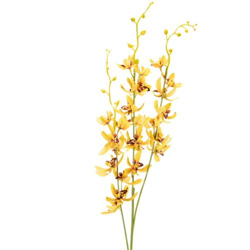 Dirbtinė Cymbidium orchidėja kaip gėlės stiebas elegantiškai dekoracijai, 95 cm, 2 vnt.