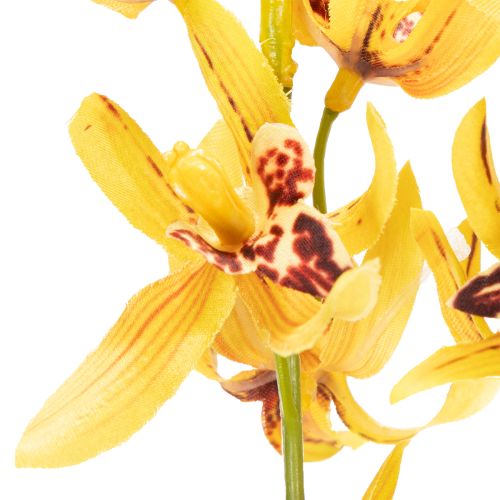 daiktų Dirbtinė Cymbidium orchidėja kaip gėlės stiebas elegantiškai dekoracijai, 95 cm, 2 vnt.