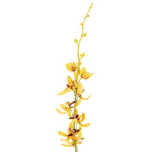 daiktų Dirbtinė Cymbidium orchidėja kaip gėlės stiebas elegantiškai dekoracijai, 95 cm, 2 vnt.