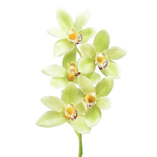 Floristik24 Cymbidium dirbtinė orchidėja 5 žiedai žali 65cm