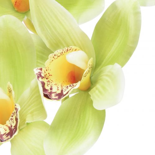 daiktų Cymbidium dirbtinė orchidėja 5 žiedai žali 65cm