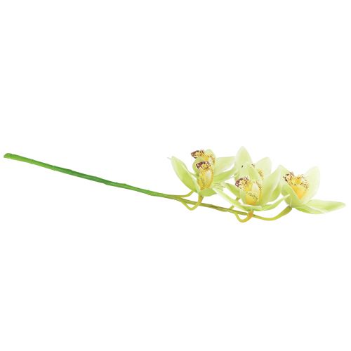 daiktų Cymbidium dirbtinė orchidėja 5 žiedai žali 65cm