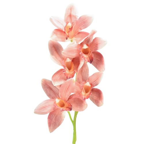 Cymbidium orchid dirbtinė 5 žiedai persikas 65cm