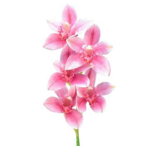 daiktų Cymbidium dirbtinė orchidėja 5 žiedai rožinės spalvos 65cm