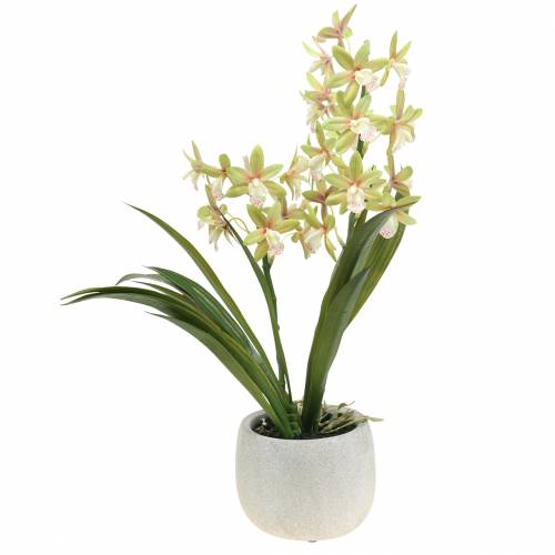 Floristik24 Orchid Cymbidium Green vazone Dirbtinis H46cm