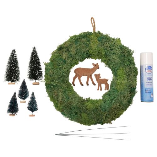 Floristik24 DIY dėžutės samanų vainikas žiemos miško durų vainikas Kalėdinis Ø34cm