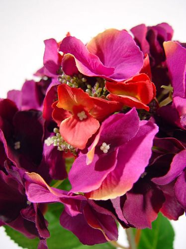 Floristik24 Hortenzija 43cm tamsiai violetinė (3 vnt.)