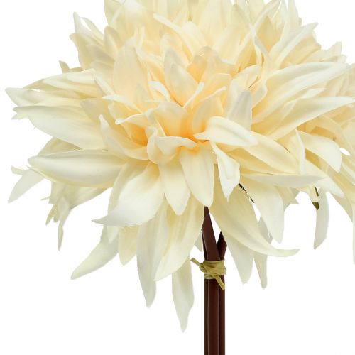 Floristik24 Dirbtinis jurginų kremas 25,5cm 3vnt