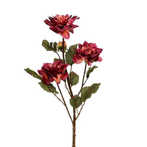 Floristik24 Dahlia Erika Ø10cm L68cm 3vnt