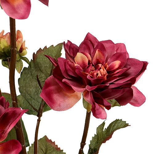 Floristik24 Dahlia Erika Ø10cm L68cm 3vnt