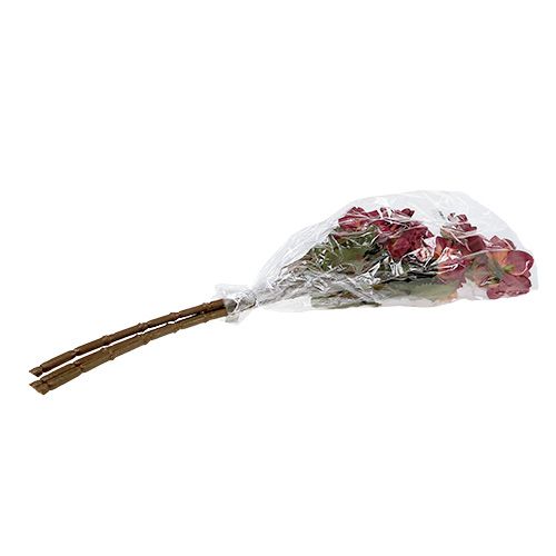 Floristik24 Dahlia Erika Ø10cm L68cm 3vnt