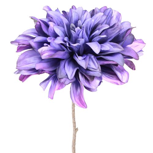 Floristik24 Dirbtinis jurginas su dideliais violetinės spalvos žiedais L58cm