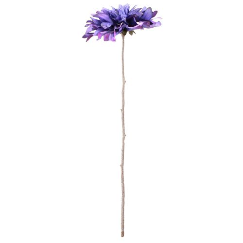 Floristik24 Dirbtinis jurginas su dideliais violetinės spalvos žiedais L58cm