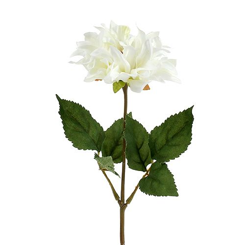 daiktų Dahlia balta 28cm 4vnt