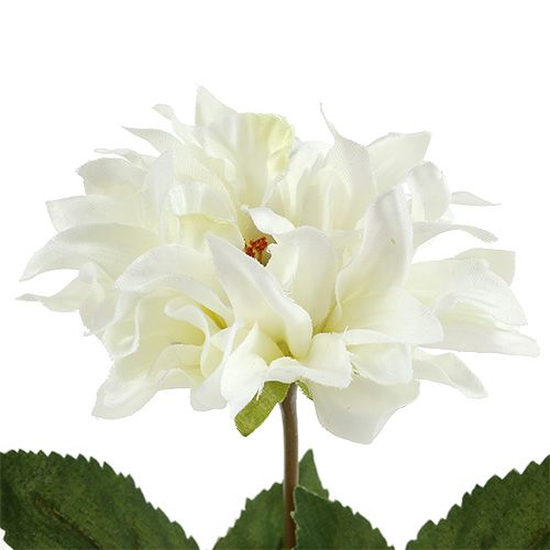 daiktų Dahlia balta 28cm 4vnt