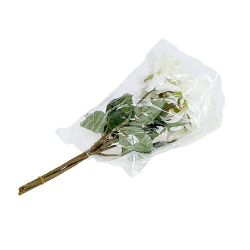 daiktų Dahlia balta 28cm 4vnt