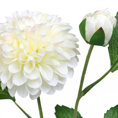 daiktų Dahlia dirbtinės gėlės kreminės žalios 2 gėlės 60cm