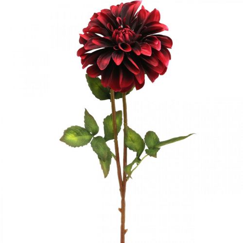 Dirbtinė gėlė jurgina raudona šilkinė gėlė ruduo 78cm Ø3 / 15cm