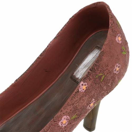 Floristik24 Dekoratyvinis batų augalas batų siurblys rudas 24cm × 8cm H13,6cm