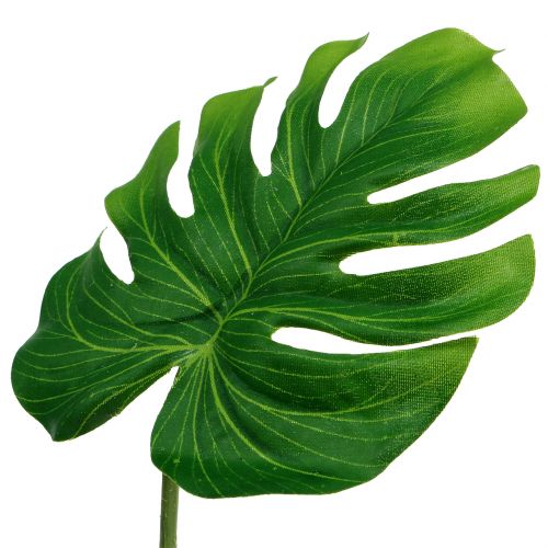 Floristik24 Deco Leaf Philo Leaf Green W11cm L29.5cm 3vnt