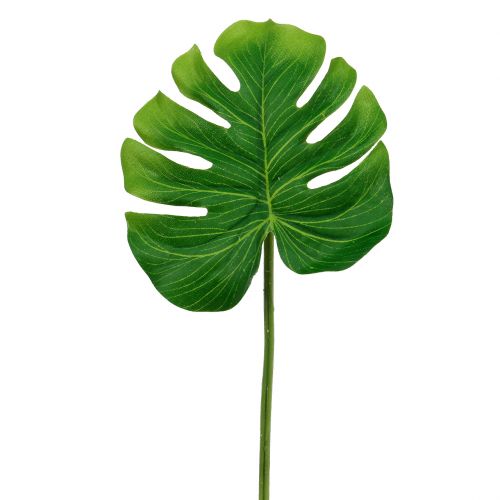 Floristik24 Deco Leaf Philo Leaf Green W11cm L29.5cm 3vnt