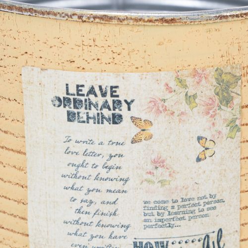 daiktų Dekoratyvinė skarda, abrikosų spalvos, metalinis augalų vazonas, vasarinė dekoracija, Ø15,5 cm, aukštis 15 cm