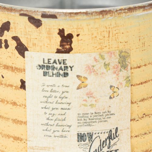 daiktų Dekoratyvinė skarda, vasarinės abrikosų spalvos, metalinė skarda, augalų vazonas, Ø8cm, aukštis 7,5cm