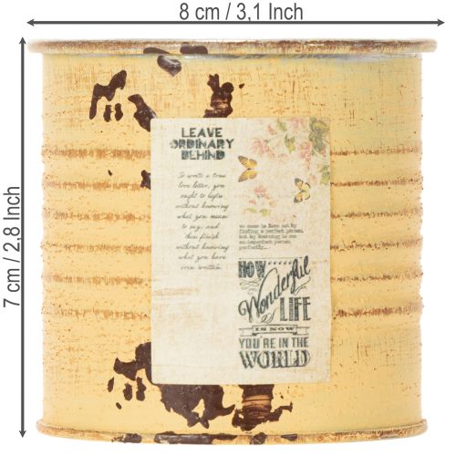 daiktų Dekoratyvinė skarda, vasarinės abrikosų spalvos, metalinė skarda, augalų vazonas, Ø8cm, aukštis 7,5cm