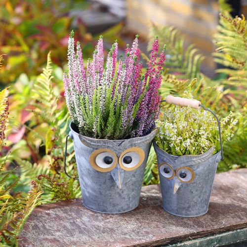 Floristik24 Dekoratyvinis kibirinis-pelėdos formos cinkuotas vazonas su rankena Ø15/19cm, 2 vnt. rinkinys