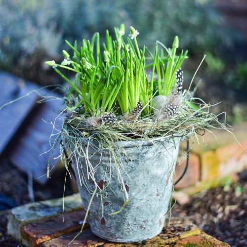 Floristik24 Dekoratyvinis kibiras, gėlių vazonas, keraminis kibiras senovinės išvaizdos Ø19,5cm H19cm