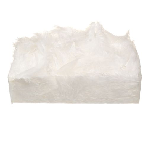 daiktų Dekoratyvinės plunksnos baltos craft reikmenys pavasaris 5-10cm 20g