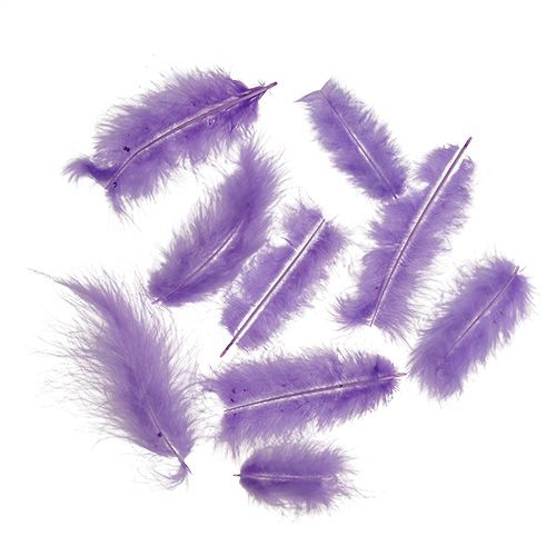 Plunksnos trumpos 30g šviesiai violetinės