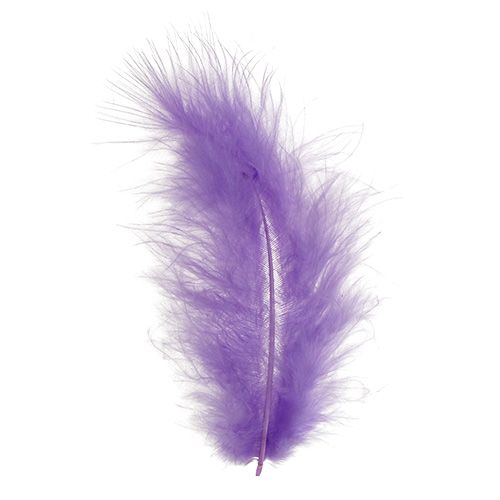 daiktų Plunksnos trumpos 30g šviesiai violetinės