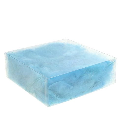 Floristik24 Trumpos plunksnos 30g turkio spalvos