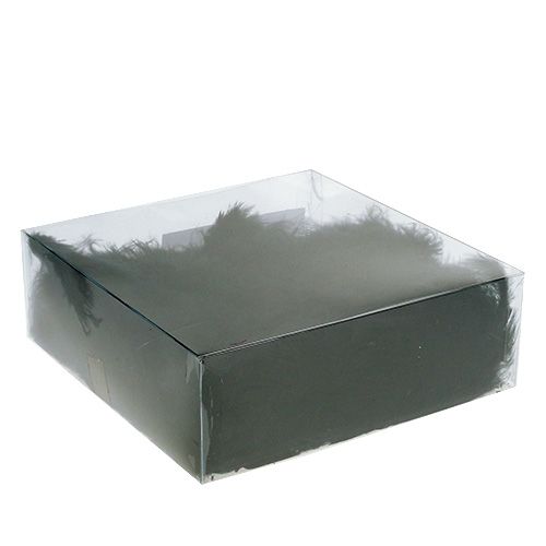 Floristik24 Trumpos plunksnos 30g juodos