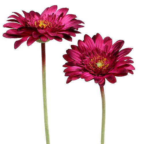 Floristik24 Dekoratyvinė gerbera tamsiai rožinė Ø10cm L53cm 6vnt