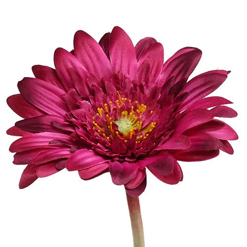 Floristik24 Dekoratyvinė gerbera tamsiai rožinė Ø10cm L53cm 6vnt