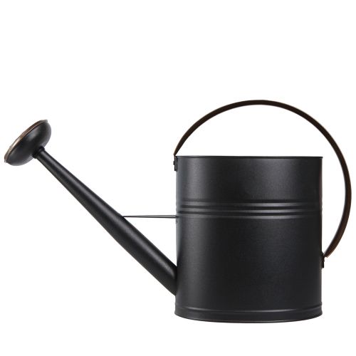 daiktų Dekoratyvinis laistytuvas metalinis juodas alyvuogių žalias antgalis 60x19x38cm